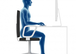 Ergonomic Office