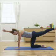 Bird-Dog Core Strengthening