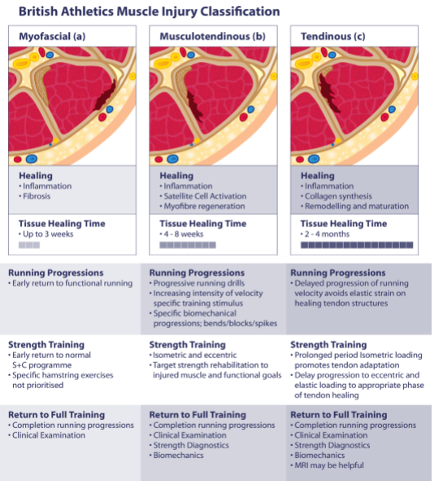 Hamstring Tears Classification