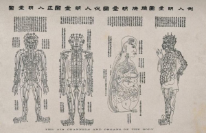 Acupuncture chart